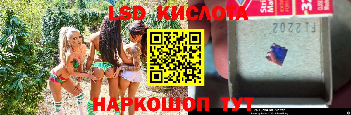 Наркотические марки 1,5мг  Вход с VPN  Наркотические марки 1,5мг  Свободный 