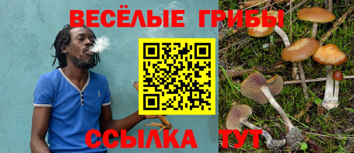 Галлюциногенные грибы мицелий Свободный