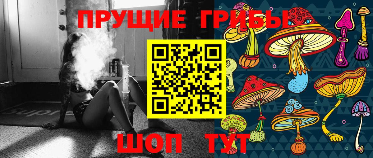 где продают наркотики  Вход с VPN  Свободный  Псилоцибиновые грибы MAGIC MUSHROOMS 